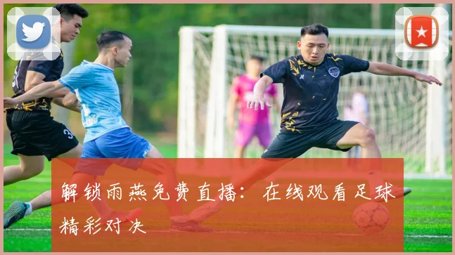 解锁雨燕免费直播：在线观看足球精彩对决