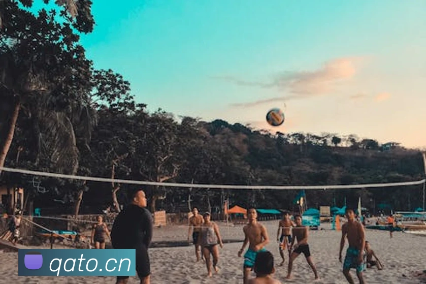 人人体育在线直播全站App